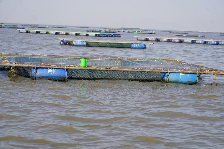 Sustainable Aquaculture Landscape